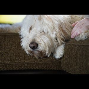 Meet your Posher, Jeff